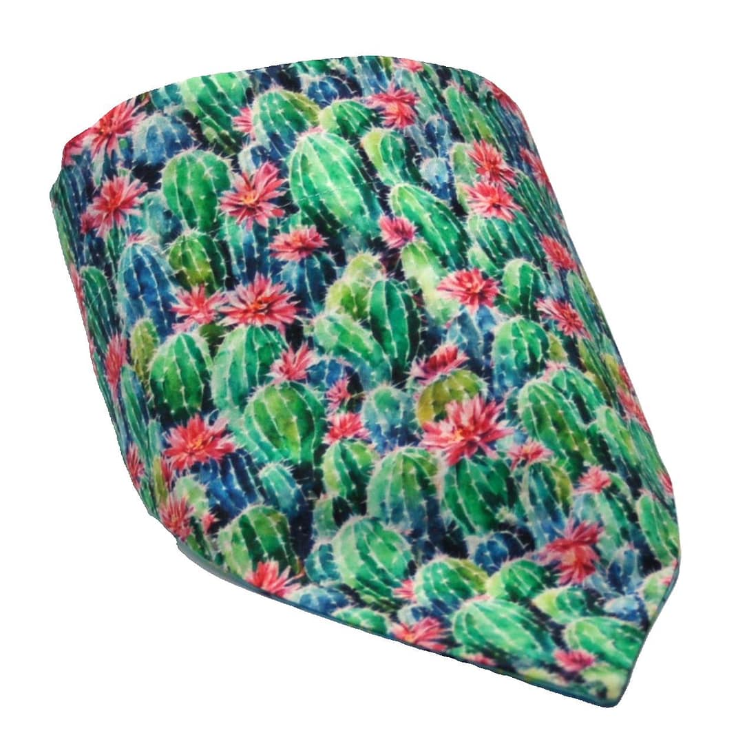Succulents Bandana