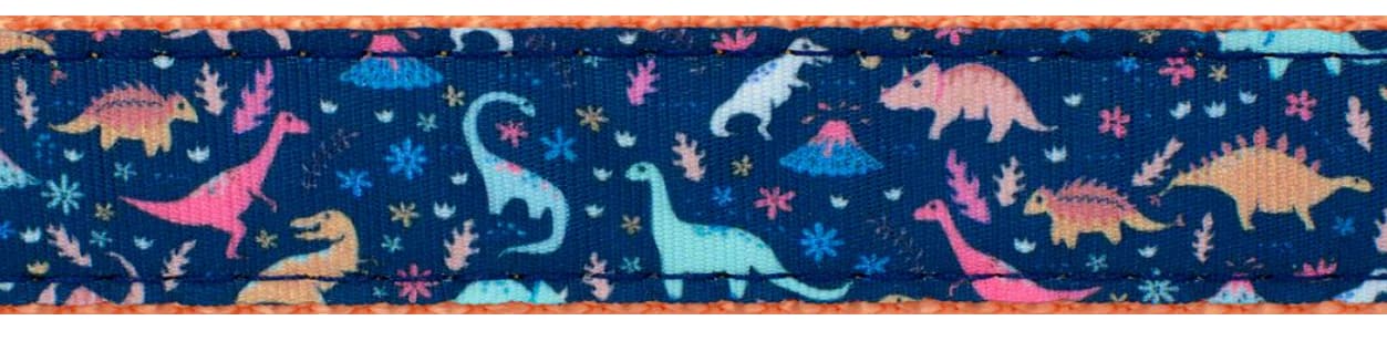 Dinosaur Collar