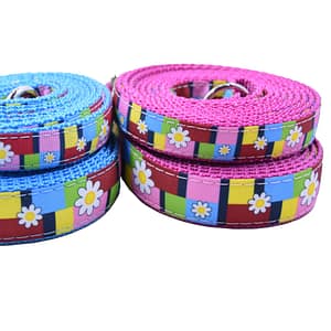 Daisies and Patches Leash