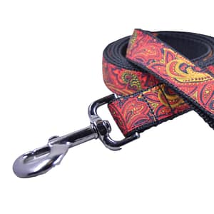 Paisley Leash