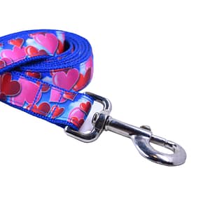 Hearts Leash