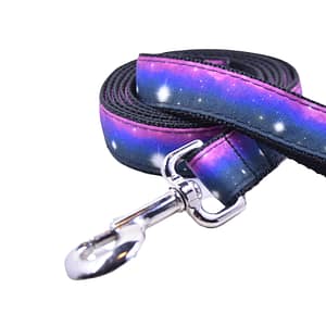 Dark Skies Leash