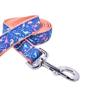 Dinosaur Leash