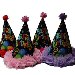 Happy Birthday Pawty Hats