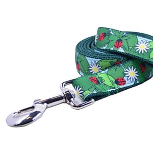 Ladybug Fun Leash
