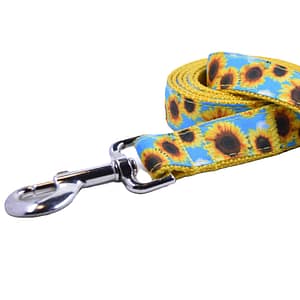 Sunflower Leash