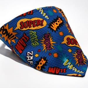 Super Hero Bandana