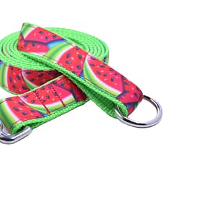 Watermelon Leash