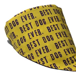 Best Dog Ever Bandana