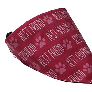 Best Friend Bandana