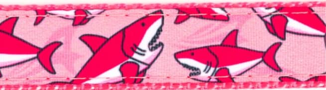 Shark Collar