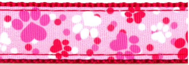 Paws & Hearts Collar