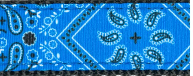 Bandana Print Collar