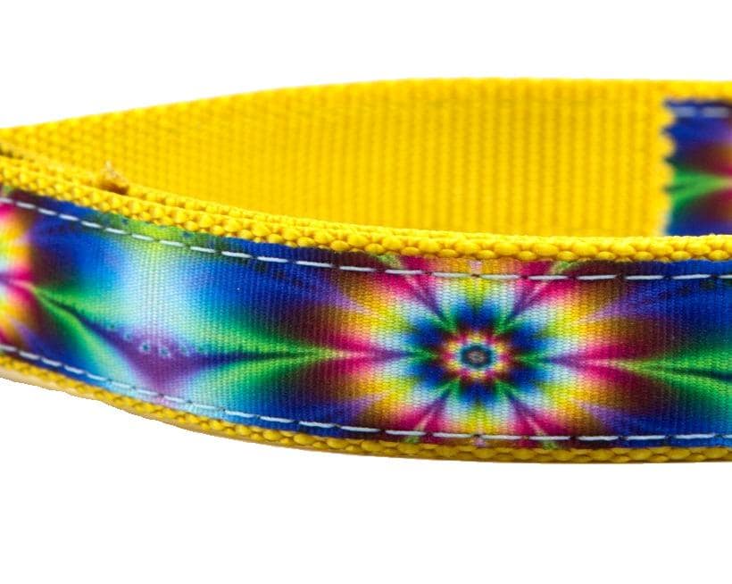 Yellow Flower Burst Collar - Image 2